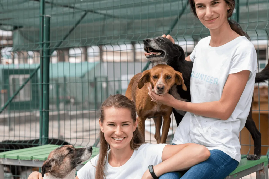 Association de protection animale