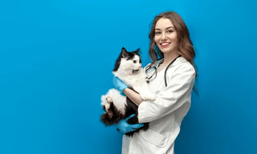 veterinaire portant un chat